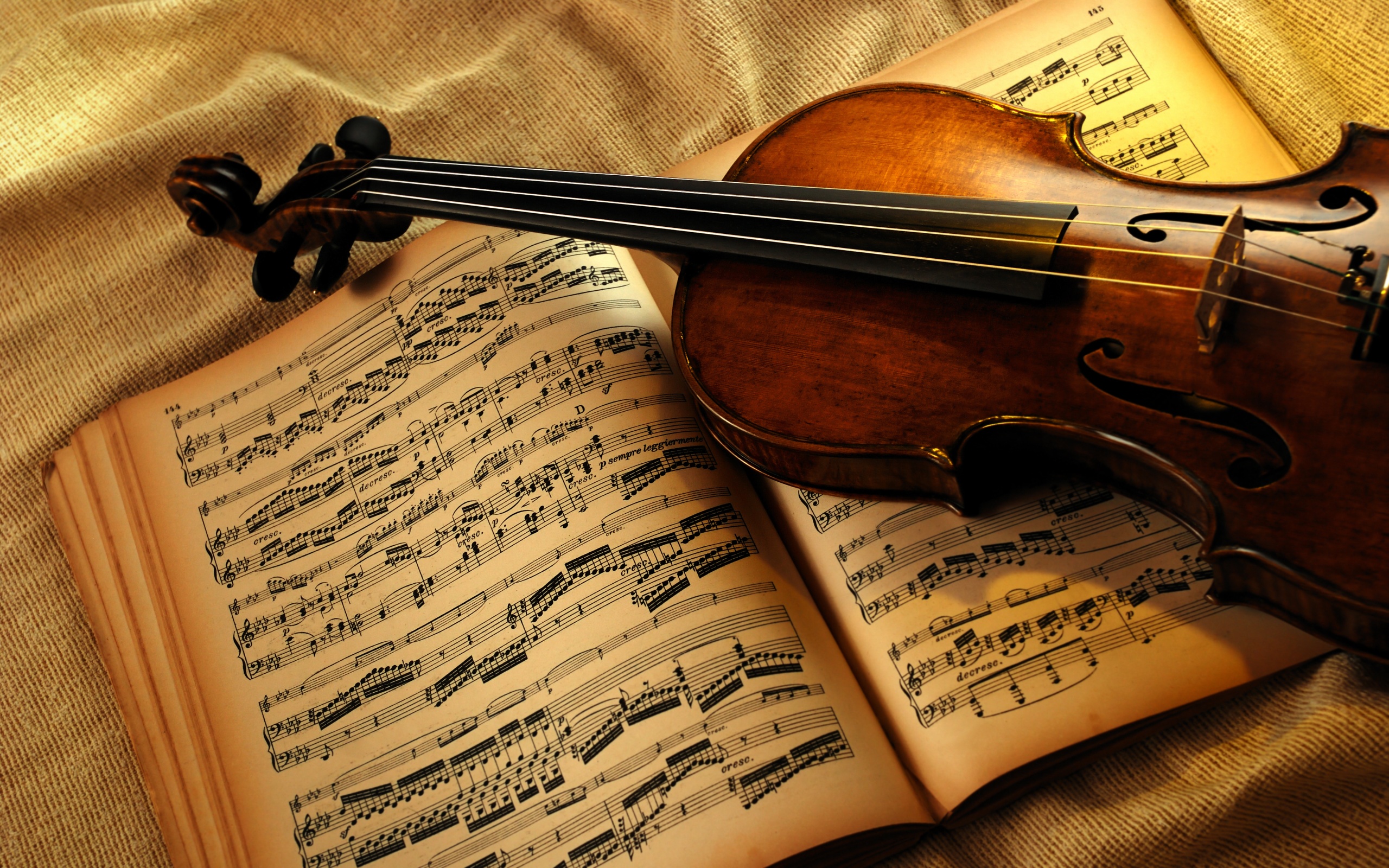 violin-and-notes-wallpapers_17591_2560x1600